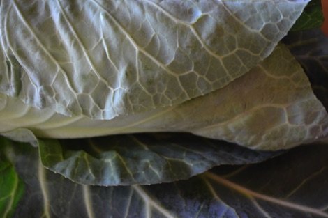 spring greens